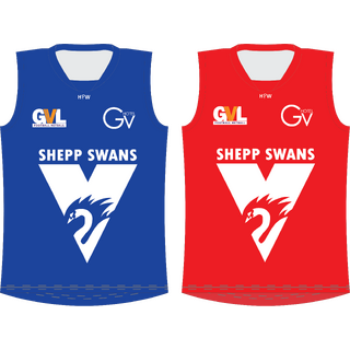 WORKWEAR, SAFETY & CORPORATE CLOTHING SPECIALISTS Mens Sublimated Aussie Rules Jersey - Reversible -