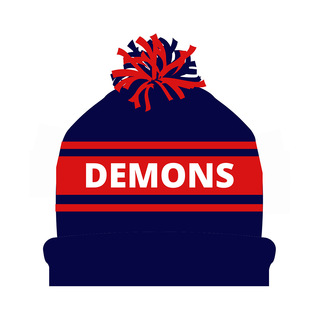 WORKWEAR, SAFETY & CORPORATE CLOTHING SPECIALISTS Demons Knit Beanie