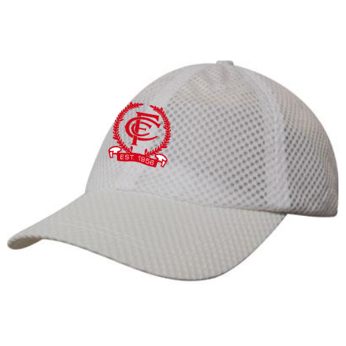 WORKWEAR, SAFETY & CORPORATE CLOTHING SPECIALISTS - Sports Mesh Cap