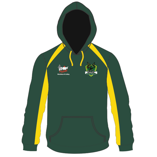 WORKWEAR, SAFETY & CORPORATE CLOTHING SPECIALISTS - Mens Sublimated Hoodie - No Zip - Green
